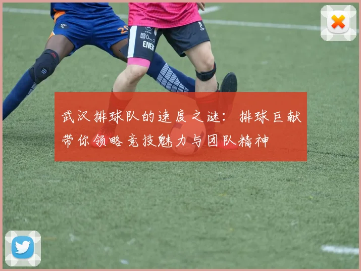 武汉排球队的速度之谜：排球巨献带你领略竞技魅力与团队精神